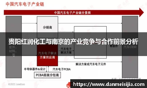 贵阳红润化工与南京的产业竞争与合作前景分析